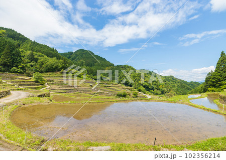 棚田の水田（福岡県うきは市　つづら棚田）【5月】 102356214