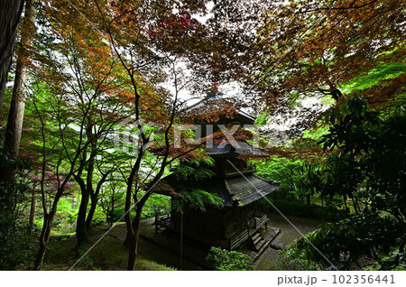 高源寺の多宝塔 高源寺の多宝塔 102356441