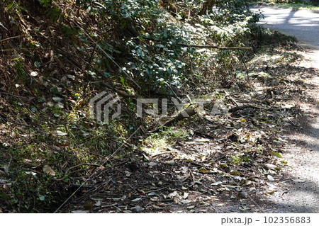 土砂崩れの光景 102356883