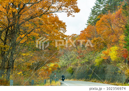 岐阜県高山市 秋の紅葉のせせらぎ街道を走るオートバイの人 岐阜県高山市 秋の紅葉のせせらぎ街道を走るオートバイの人 102356974