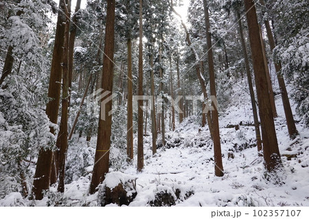 雪に染まった山奥 102357107