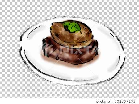 ロッシーニ風フォアグラステーキの手描き和風イラスト ロッシーニ風フォアグラステーキの手描き和風イラスト 102357173