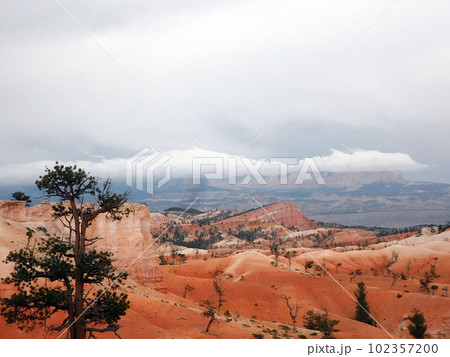 Landscape of Bryce Canyon National Park, Utah, USA, Landscape of Bryce Canyon National Park, Utah, USA, 102357200