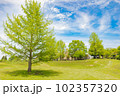 絵本の中のような景色 102357320
