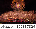 空の中にひろがる大輪の華 102357326
