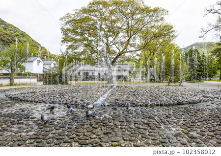 吉香公園の噴水で水を飲む鳩 吉香公園の噴水で水を飲む鳩 102358012