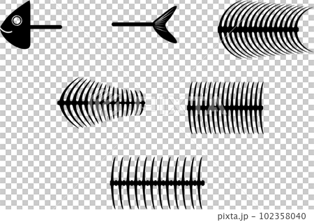 Combinable fish bone parts set 102358040