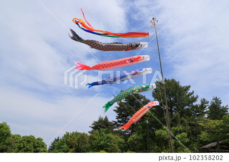 青空に泳ぐ鯉のぼり　端午の節句 102358202