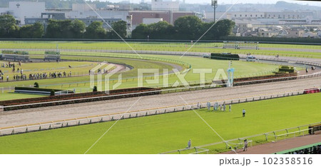 東京競馬場スタンドから見た芝コースコーナー 東京競馬場スタンドから見た芝コースコーナー 102358516