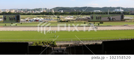 東京競馬場スタンドから見た直線コース 東京競馬場スタンドから見た直線コース 102358520