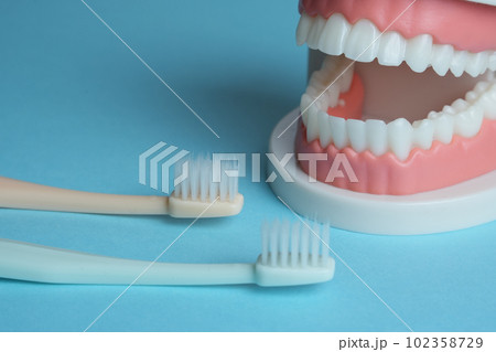 歯みがきのイメージ 102358729