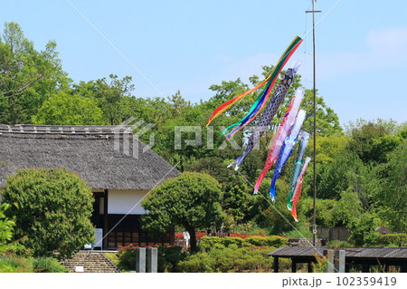 屋根より高い鯉のぼり 青空に泳ぐ鯉のぼり 屋根より高い鯉のぼり 青空に泳ぐ鯉のぼり 102359419