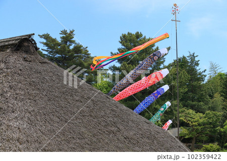 屋根より高い鯉のぼり　青空に泳ぐ鯉のぼり 102359422