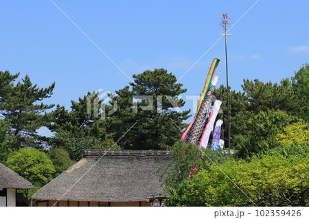 屋根より高い鯉のぼり　青空に泳ぐ鯉のぼり 102359426