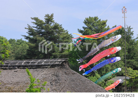 屋根より高い鯉のぼり 青空に泳ぐ鯉のぼり 屋根より高い鯉のぼり 青空に泳ぐ鯉のぼり 102359428