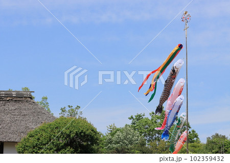 屋根より高い鯉のぼり　青空に泳ぐ鯉のぼり 102359432