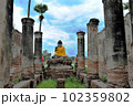 ミャンマー北部　インワの石仏 102359802