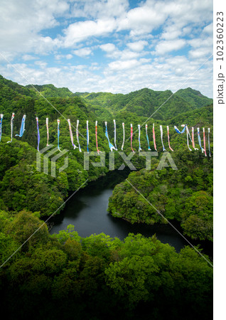 茨城県常陸太田市 新緑の竜神大吊り橋と鯉のぼり 茨城県常陸太田市 新緑の竜神大吊り橋と鯉のぼり 102360223