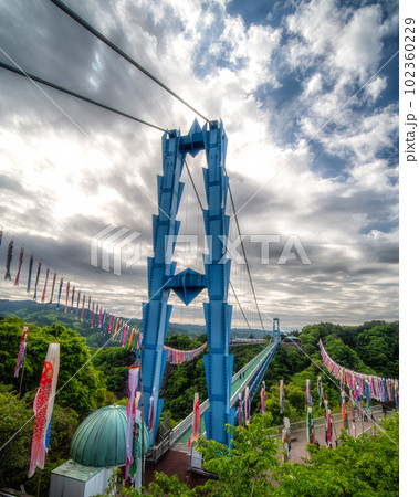 茨城県常陸太田市 新緑の竜神大吊り橋と鯉のぼり 茨城県常陸太田市 新緑の竜神大吊り橋と鯉のぼり 102360229