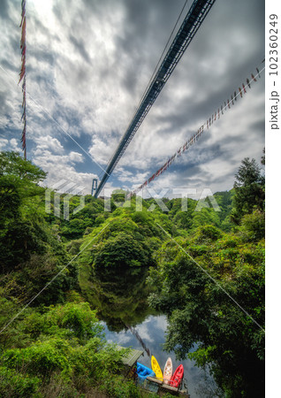 茨城県常陸太田市　新緑の竜神大吊り橋と鯉のぼり 102360249