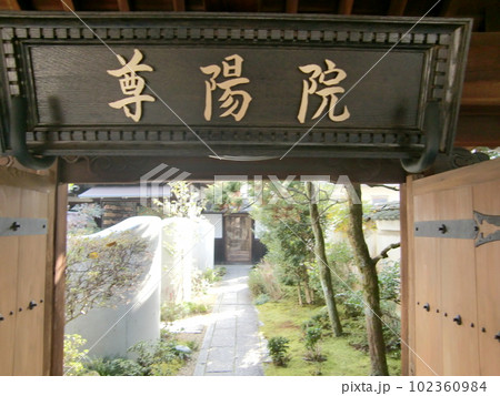 尊陽院 102360984