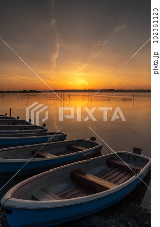 千葉県佐倉市 印旛沼の日の出風景 千葉県佐倉市 印旛沼の日の出風景 102361120