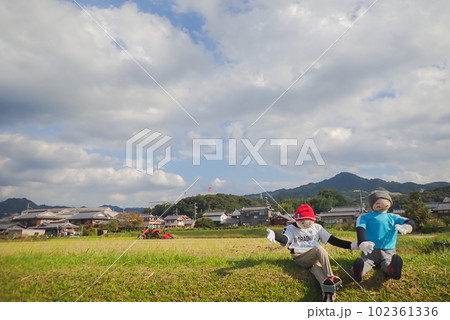 稲刈りの終わった田圃の案山子 稲刈りの終わった田圃の案山子 102361336