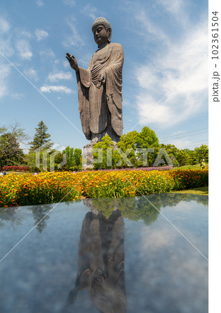茨城県牛久市 春の花と牛久大仏 茨城県牛久市 春の花と牛久大仏 102361504