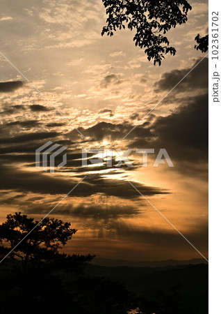 八上城からの朝日 102361702