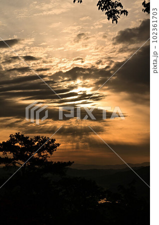 八上城からの朝焼け 八上城からの朝焼け 102361703