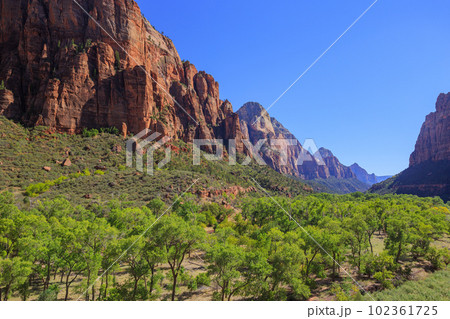 アメリカ・ユタ州にあるザイオン国立公園 102361725