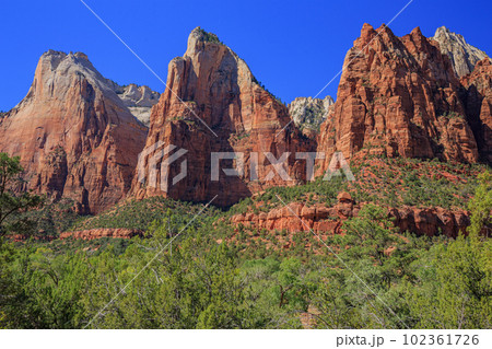 アメリカ・ユタ州にあるザイオン国立公園 102361726