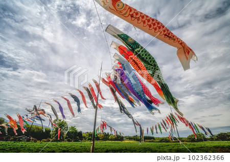 栃木県那須町　那須ハートフルファームの菜の花畑と鯉のぼり 102362366