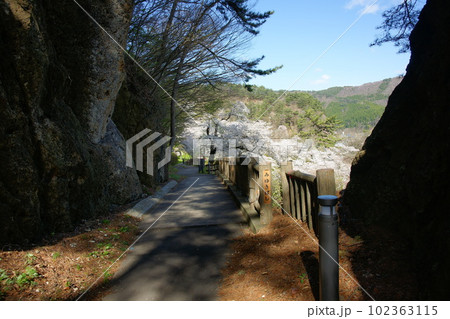 きみまち坂の巨岩と桜 102363115