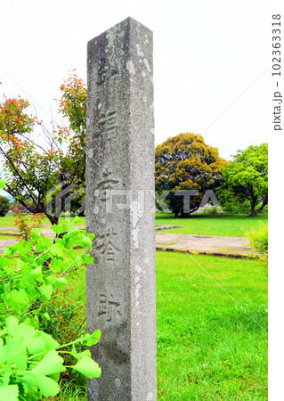 【国指定史跡】川原寺跡跡 102363318