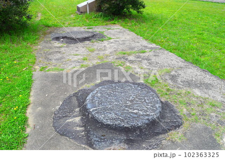 【国指定史跡】川原寺跡跡 102363325