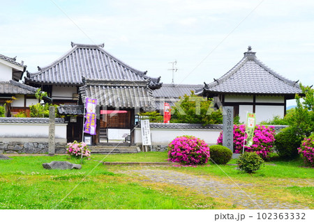 【国指定史跡】川原寺跡跡 102363332