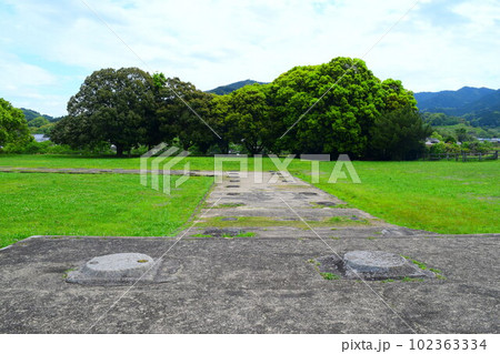 【国指定史跡】川原寺跡跡 102363334