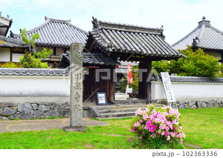 【国指定史跡】川原寺跡跡 102363336