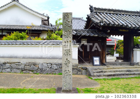【国指定史跡】川原寺跡跡 102363338