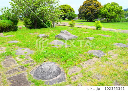 【国指定史跡】川原寺跡跡 102363341