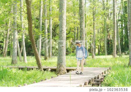 ハイキングするシニア女性の全身写真 ハイキングするシニア女性の全身写真 102363538