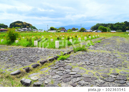【国指定史跡】飛鳥宮跡 102363541