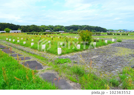 【国指定史跡】飛鳥宮跡 【国指定史跡】飛鳥宮跡 102363552