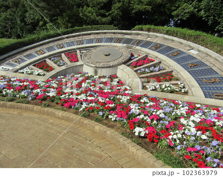 稲毛海浜公園花時計花壇の春の花インパチェンスの花の写真素材