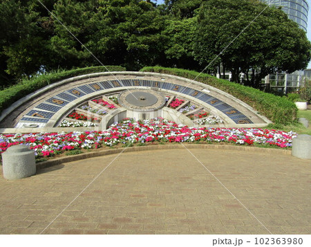 稲毛海浜公園花時計花壇の春の花インパチェンスの花の写真素材