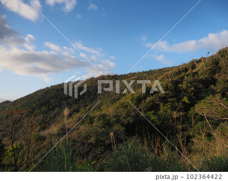 宮古崎までの景色（鹿児島県・奄美市） 102364422
