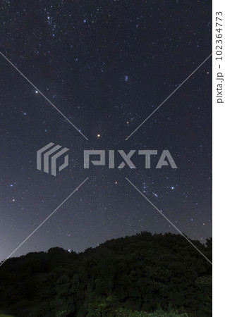 秋の星空 昇るオリオン座とプレアデス星団 秋の星空 昇るオリオン座とプレアデス星団 102364773