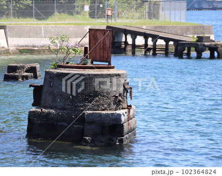 吾妻島　遺産 102364824