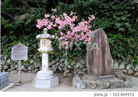 夫婦岩 夫婦岩 102364952
